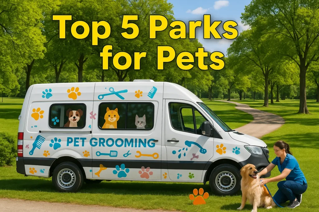How Often Should You Groom Your Dog in Florida Weather?